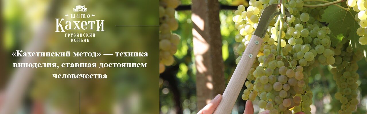 кахетинский метод виноделия