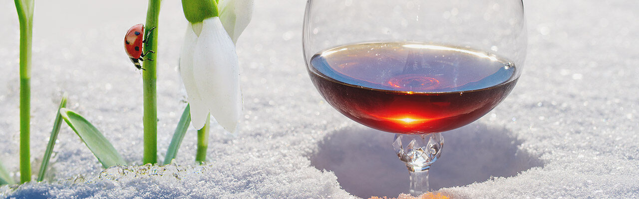 удивительная Кахетия в апреле